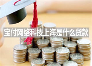 宝付网络科技上海是什么贷款？