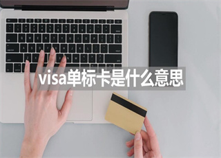 visa单标卡是什么意思